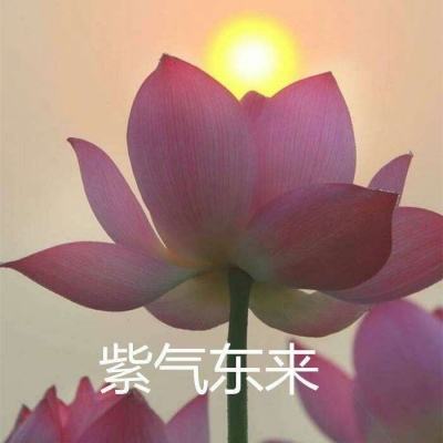 佛系武侠手机版下载